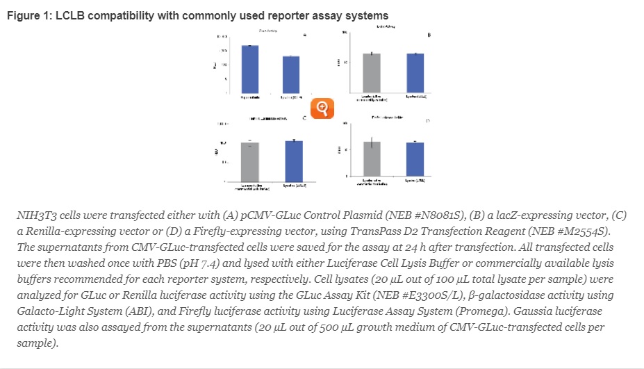 Luciferase Cell Lysis Buffer(已停产且无替代库存售完为止)--NEB酶试剂 New England Biolabs