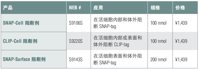 SNAP-Surface 阻断剂--NEB酶试剂 New England Biolabs