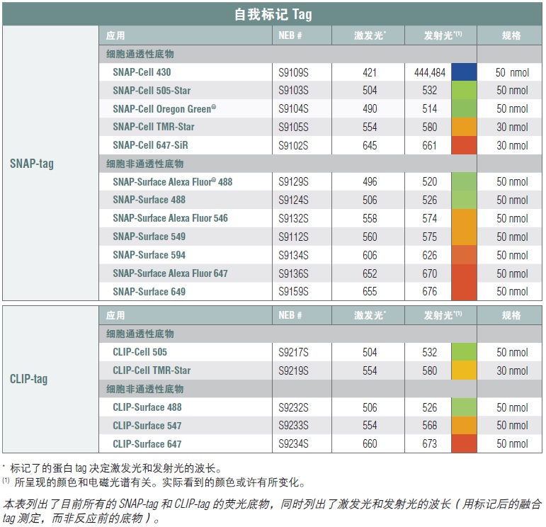SNAP-Cell 505-Star--NEB酶试剂 New England Biolabs