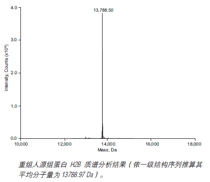 重组人源组蛋白 H2B--NEB酶试剂 New England Biolabs