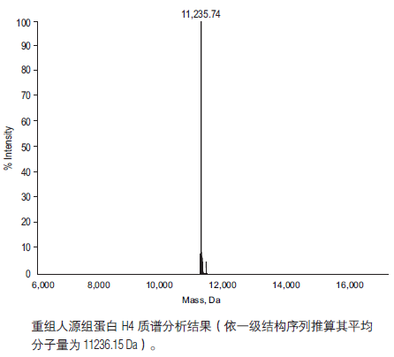 重组人源组蛋白 H4--NEB酶试剂 New England Biolabs