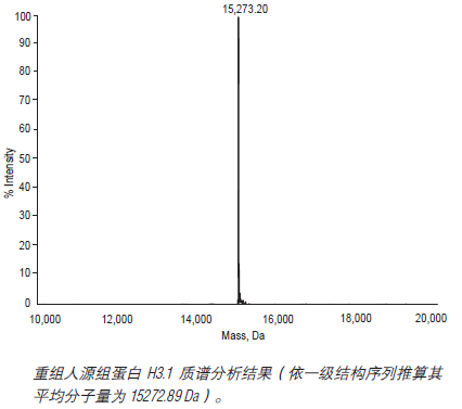 重组人源组蛋白 H3.1--NEB酶试剂 New England Biolabs