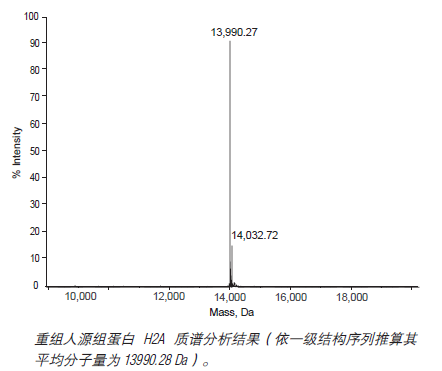 重组人源组蛋白 H2A--NEB酶试剂 New England Biolabs