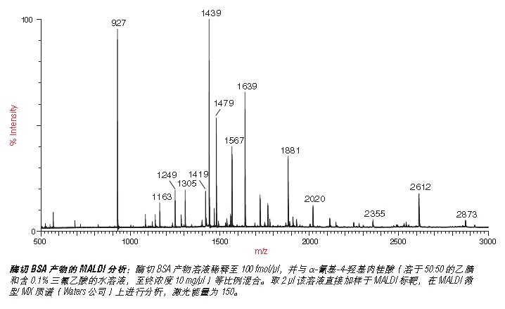 胰蛋白酶酶切的 BSA MS 标准--NEB酶试剂 New England Biolabs