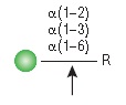 α1-2,3,6 甘露糖苷酶--NEB酶试剂 New England Biolabs