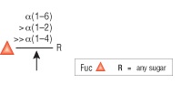 α1-2,4,6 Fucosidase O--NEB酶试剂 New England Biolabs