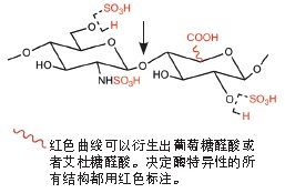 细菌肝素酶 II--NEB酶试剂 New England Biolabs