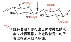 细菌肝素酶 I--NEB酶试剂 New England Biolabs