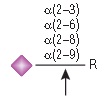 α2-3,6,8,9 神经氨酸苷酶 A--NEB酶试剂 New England Biolabs
