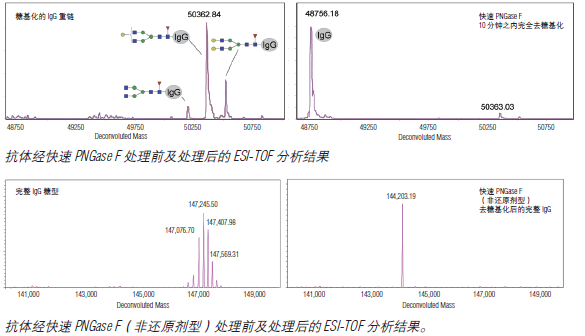 快速 PNGase F （非还原剂型）--NEB酶试剂 New England Biolabs