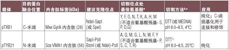 pTXB1 载体--NEB酶试剂 New England Biolabs