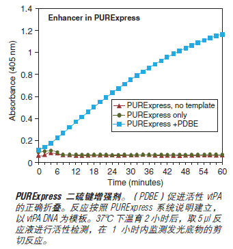 PURExpress Δ (aa, tRNA) 试剂盒--NEB酶试剂 New England Biolabs