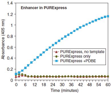 PURExpress 二硫键增强剂--NEB酶试剂 New England Biolabs