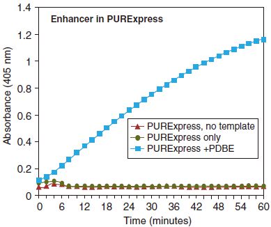 PURExpress 二硫键增强剂--NEB酶试剂 New England Biolabs