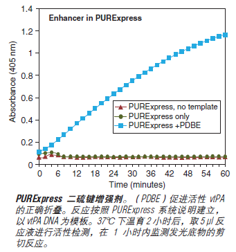 PURExpress® 体外蛋白合成试剂盒--NEB酶试剂 New England Biolabs