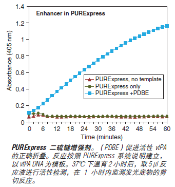 PURExpress Δ Ribosome 试剂盒--NEB酶试剂 New England Biolabs