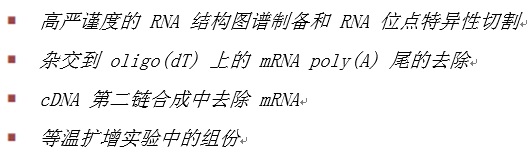 耐热 RNase H--NEB酶试剂 New England Biolabs