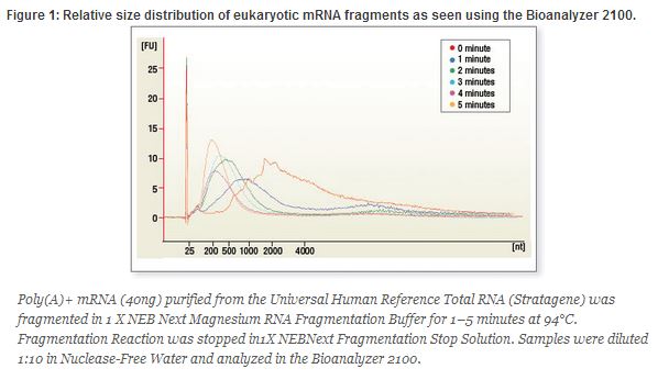 NEBNext RNA Mg++ 片段化模块--NEB酶试剂 New England Biolabs