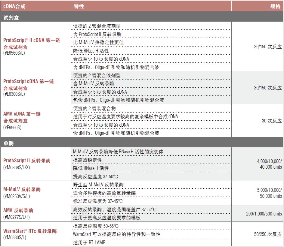 cDNA 合成选择表--NEB酶试剂 New England Biolabs