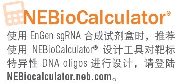 EnGen® sgRNA 合成试剂盒,S. pyogenes--NEB酶试剂 New England Biolabs