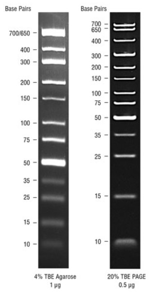 TriDyeTM 低分子量 DNA Ladder--NEB酶试剂 New England Biolabs