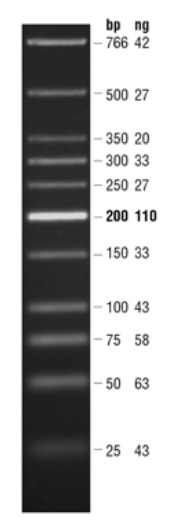 Quick-Load 紫色 低分子量 DNA Ladder--NEB酶试剂 New England Biolabs