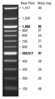 Quick-Load 紫色 100 bp DNA Ladder--NEB酶试剂 New England Biolabs
