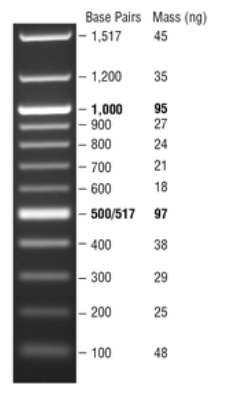 Quick-Load 100 bp DNA Ladder--NEB酶试剂 New England Biolabs