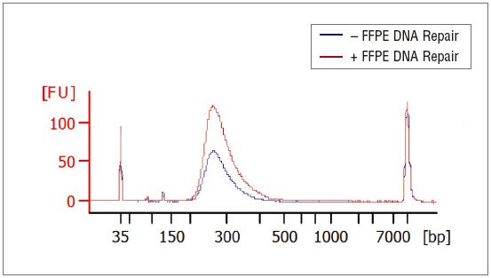 NEBNext FFPE DNA 修复混合液--NEB酶试剂 New England Biolabs