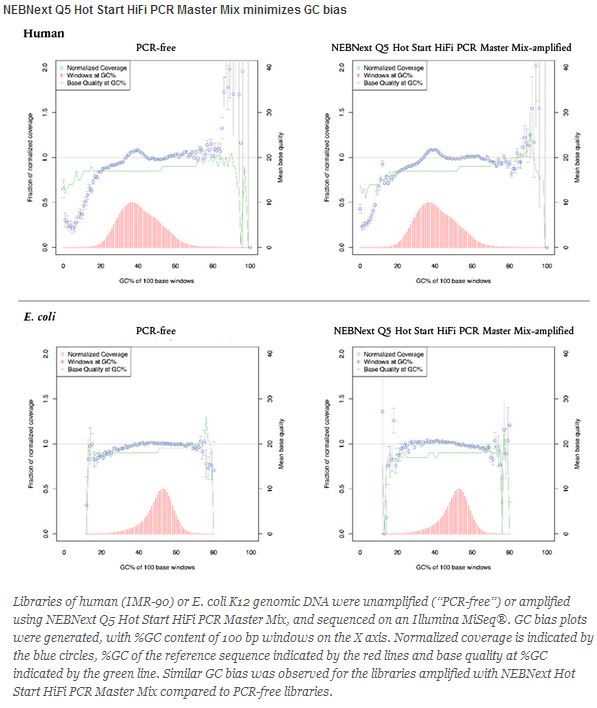 NEBNext Q5 热启动超保真 PCR 预混液--NEB酶试剂 New England Biolabs