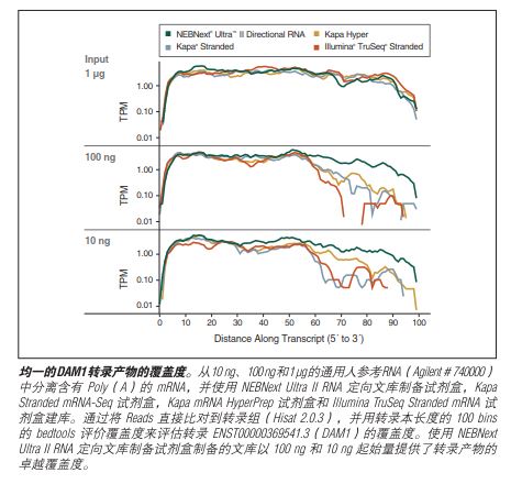 NEBNext Ultra II RNA 文库制备试剂盒 - 含纯化磁珠--NEB酶试剂 New England Biolabs