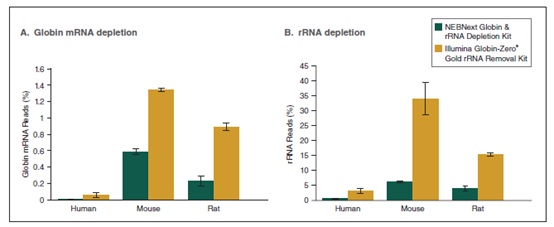 NEBNext Globin & rRNA 去除试剂盒（人/小鼠/大鼠）- 含 RNA 纯化磁珠--NEB酶试剂 New England Biolabs