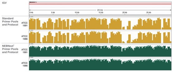 NEBNext®ARTIC SARS-CoV-2 配套试剂盒（Oxford Nanopore Technologies）--NEB酶试剂 New England Biolabs