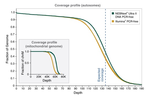 NEBNext® Ultra™ II DNA PCR-Free 文库制备试剂盒--NEB酶试剂 New England Biolabs