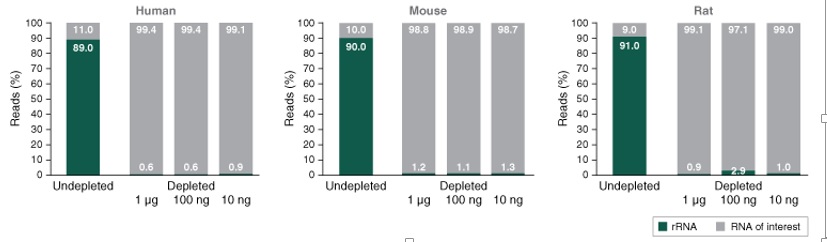 NEBNext® rRNA 去除试剂盒 v2（人/小鼠/大鼠）--NEB酶试剂 New England Biolabs