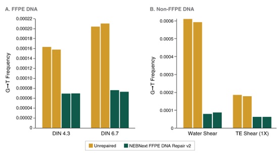 NEBNext®FFPE DNA 修复模块 v2--NEB酶试剂 New England Biolabs