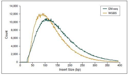 NEBNext 酶学转化法甲基化建库试剂盒--NEB酶试剂 New England Biolabs