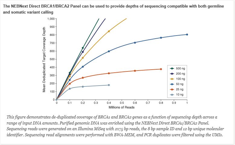 NEBNext Direct® BRCA1/BRCA2 Panel--NEB酶试剂 New England Biolabs