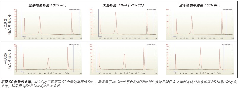 NEBNext DNA 快速片段化 & 文库制备试剂盒-Ion Torrent--NEB酶试剂 New England Biolabs