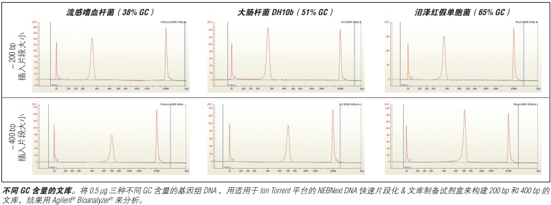 NEBNext DNA 快速文库制备试剂盒 - Ion Torrent--NEB酶试剂 New England Biolabs