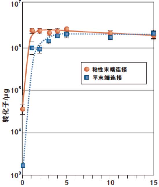 Quick Ligation™ 快速连接试剂盒--NEB酶试剂 New England Biolabs