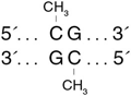 CpG 甲基转移酶 (M.SssI)--NEB酶试剂 New England Biolabs