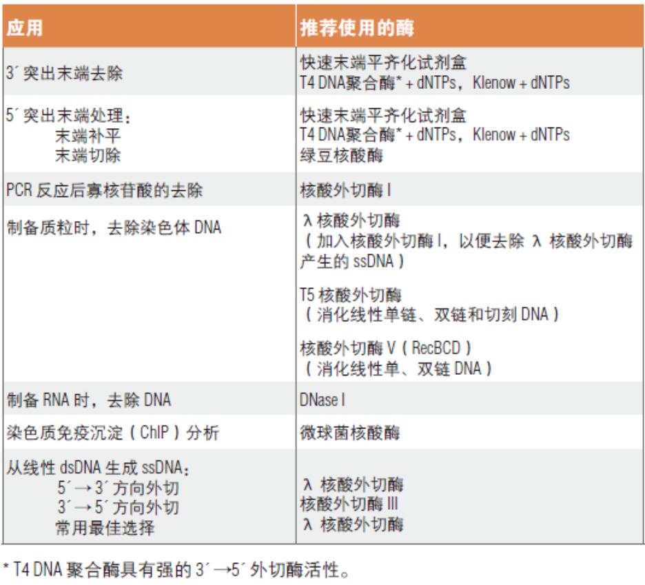 核酸内切酶和核酸外切酶的应用--NEB酶试剂 New England Biolabs