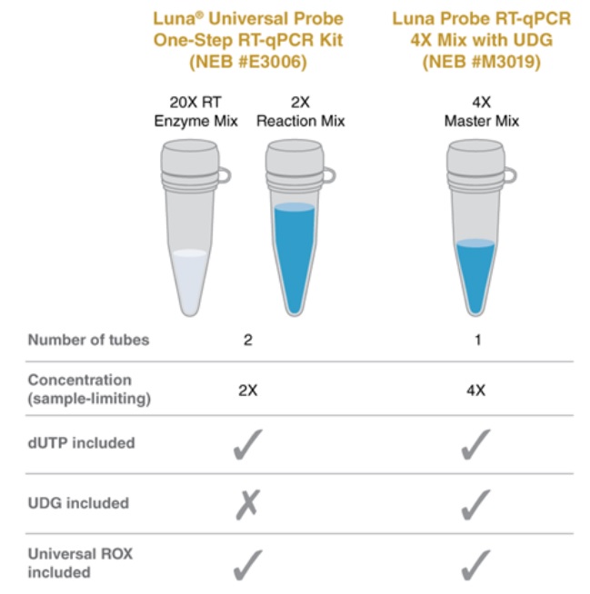 Luna® 探针一步法 RT-qPCR 4X 预混液（含 UDG）--NEB酶试剂 New England Biolabs