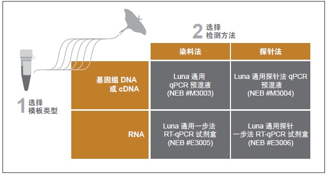 Luna® 通用探针法 qPCR 预混液--NEB酶试剂 New England Biolabs