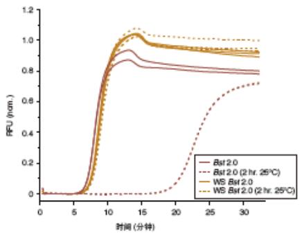 Bst 2.0 DNA 聚合酶--NEB酶试剂 New England Biolabs