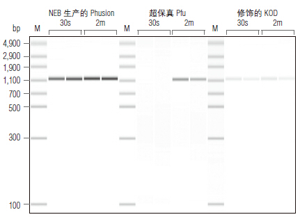 Phusion® 热启动 Flex 2X 预混液--NEB酶试剂 New England Biolabs