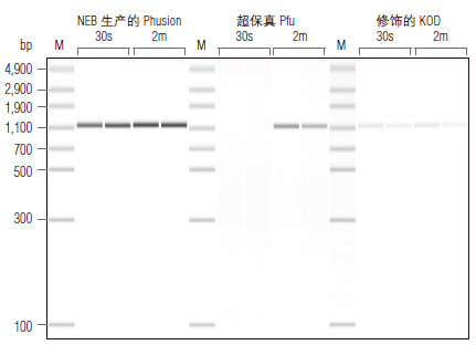 Phusion® 热启动 Flex DNA 聚合酶--NEB酶试剂 New England Biolabs