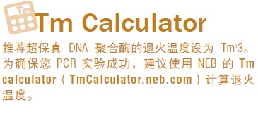 Q5®  超保真 DNA 聚合酶--NEB酶试剂 New England Biolabs