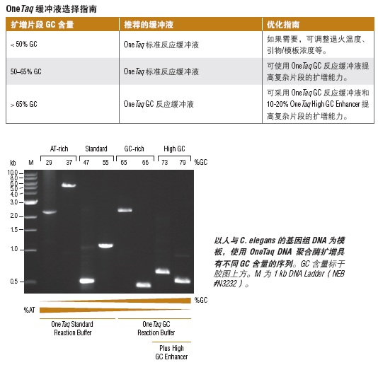 OneTaq® 热启动 2X 预混液（提供 GC 缓冲液）--NEB酶试剂 New England Biolabs